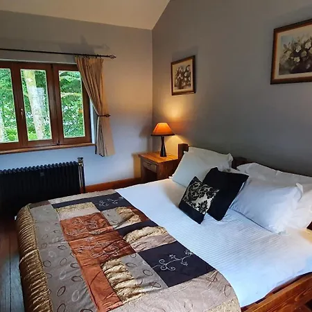 Croneybyrne Courtyard Clara