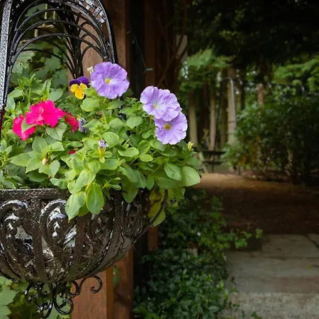 Croneybyrne Courtyard Clara