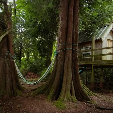 Croneybyrne Courtyard Clara