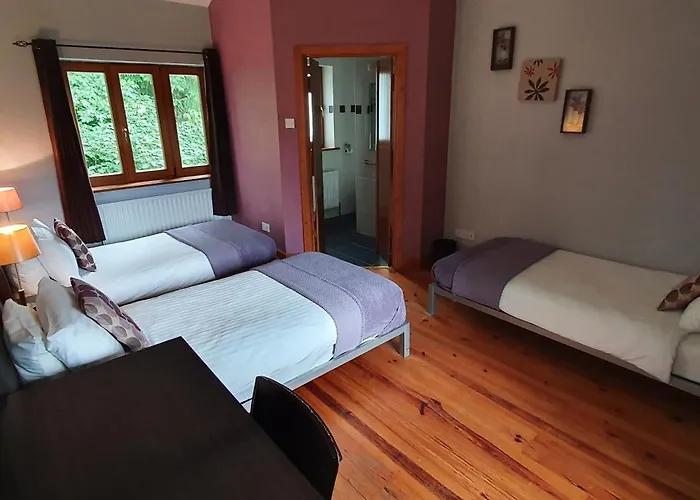 Croneybyrne Courtyard Vakantiehuis