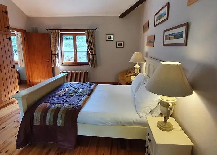 Croneybyrne Courtyard Vakantiehuis *