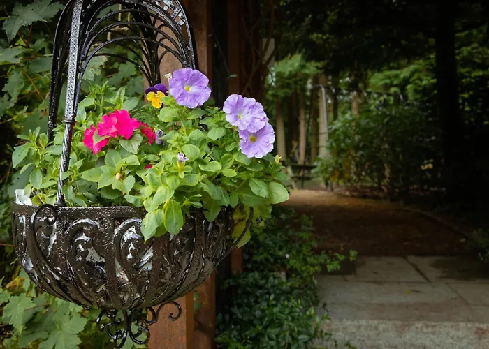 Croneybyrne Courtyard Clara