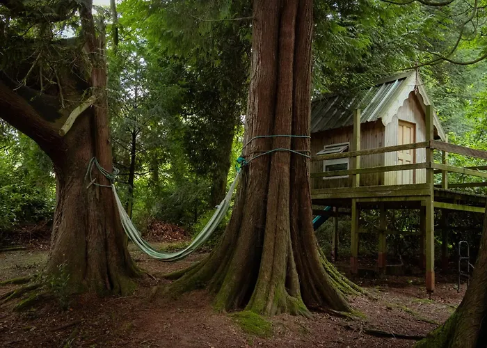 Croneybyrne Courtyard Clara