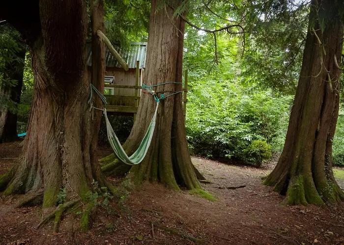 Vakantiehuis Croneybyrne Courtyard Clara